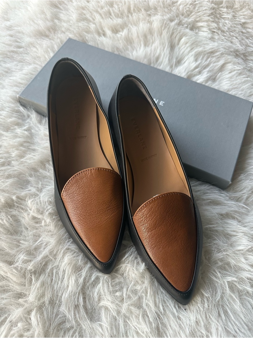 Everlane Two-Tone Pointed Leather Flats in Brown and Black 6